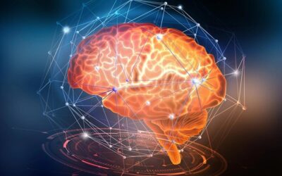 Dentist in Fairfield, Connecticut, Explains the Connection Between Oral and Brain Health