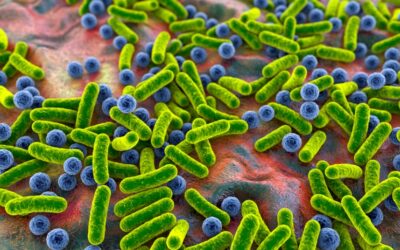 Oral Bacteria 101: What Lives in Your Mouth and Why It Matters