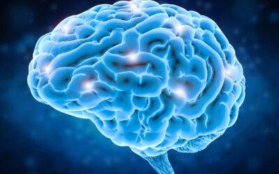 Oral Health and Brain Health: What Your Dentist at Fairfield Wants You to Know