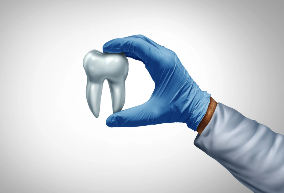 Gloved hand holding a white tooth against a light gray background, symbolizing dental care.
